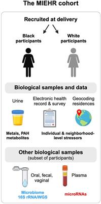 The Maternal and Infant Environmental Health Riskscape study of perinatal disparities in greater Houston: rationale, study design and participant profiles